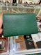 Gucci DIAONYSUS WOC GREEN