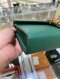 Gucci DIAONYSUS WOC GREEN