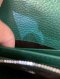 Gucci DIAONYSUS WOC GREEN
