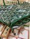 Goyard MINI ANJOU GREEN 2024