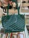 Goyard MINI ANJOU GREEN 2024