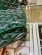 Goyard MINI ANJOU GREEN 2024