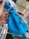 Balenciaga LE CAGOLE XS BLUE STAMP R 2022