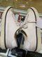 Celine SNEAKER WHITE SIZE35