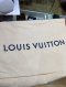 Louis Vuitton COUSSIN MM TOUPE MICROCHIP