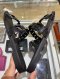 Gucci RUBBER SANDALS BLACK SIZE36