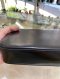 Celine TRIOMPHE SHOULDER BAG SO BLACK 2022