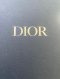 Dior SADDLE NAVY MINI 2020