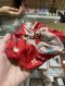 Louis Vuitton MONOGRAM HAIR SILK SCRUNCHIE TROCHEU