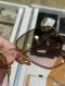 Dior SOCIETY 1 SUNGLASSES