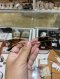 Dior SOCIETY 1 SUNGLASSES