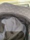 Gucci BASEBALL HAT WITH WEB BLACK SIZEM