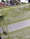 Dior TRAVEL VANITY LIME GREEN 2021 ** 16/11/68