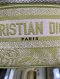 Dior TRAVEL VANITY LIME GREEN 2021 ** 16/11/68