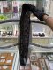 Goyard ARTOIS SIZE.PM BLACK 2026
