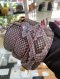 Fendi PYTHON STRAP