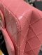 Chanel 2.55 REISSUE PINK MICROCHIP FLAP BAG