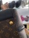 Louis Vuitton SOUFFLOT BB MONOGRAM CA4280