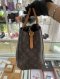 Louis Vuitton MONTAIGNE GM MONOGRAM TR3199