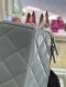 Chanel VANITY WITH CHAIN GHW MICROCHIP