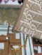 Dior 30 MONTAIGNE SIZE.MINI BEIGE BAG 2024