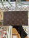 Louis Vuitton FLORE CHAIN WALLET MONOGRAM 2019