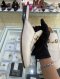 Gucci PRICETOWN SLIPPER SIZE 36