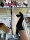 Gucci PRICETOWN SLIPPER SIZE 36