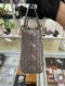 Dior LADY DIOR SMALL METALLIC GHW 2019