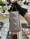 Dior LADY DIOR SMALL METALLIC GHW 2019