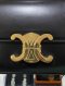Celine TRIOMPHE SHOULDER 2022