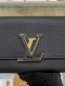 Louis Vuitton CAPUCINES LONG WAALET