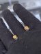 Dior TRIBALES EARRINGS GOLD