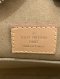 Louis Vuitton PETITE BOITE MONOGRAM BAG 2018