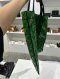 Issey Miyake BAO BAO 10*10 Green