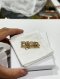 Dior HAIR CLIP LOGO GOLD