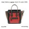 Celine LUGGAGE MICRO TRI-COLOR 2015