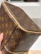 Louis Vuitton NICE MINI MONOGRAM MICROCHIP