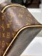 Louis Vuitton NICE MINI MONOGRAM MICROCHIP