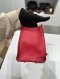 YSL MINI CABAS CHYC RED GHW 2015