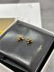 Celine EARRINGS GOLD 2024