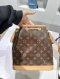 Louis Vuitton PETIT NOE MONOGRAM 2020