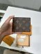 Louis Vuitton MULTIPLE WALLET MONOGRAM 2025