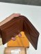 Louis Vuitton MULTIPLE WALLET MONOGRAM 2025