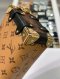 Louis Vuitton Side Trunk PM Monogram Reverse 2024