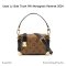 Louis Vuitton Side Trunk PM Monogram Reverse 2024