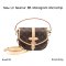 Louis Vuitton SAUMUR BB MONOGRAM MICROCHIP