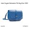 GOYARD BELVEDERE PM BAG BIUE 2025