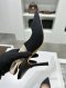 Dior J'DIOR SLINGBACK PUMP BLACK Size 38
