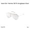 Dior Homme 0217S Sunglasses Silver